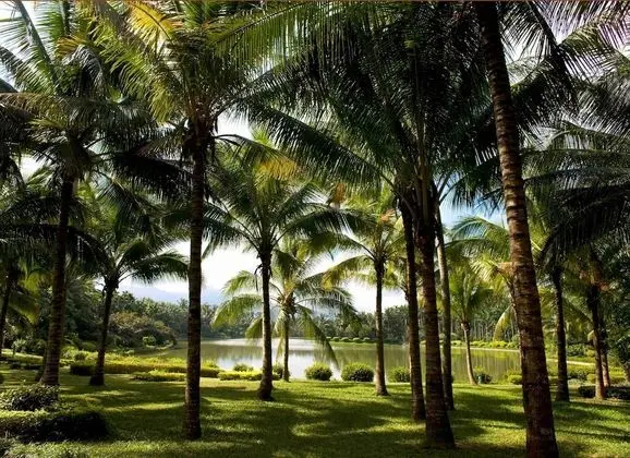Le Meridien Shimei Bay Beach Resort & Spa - Oda
