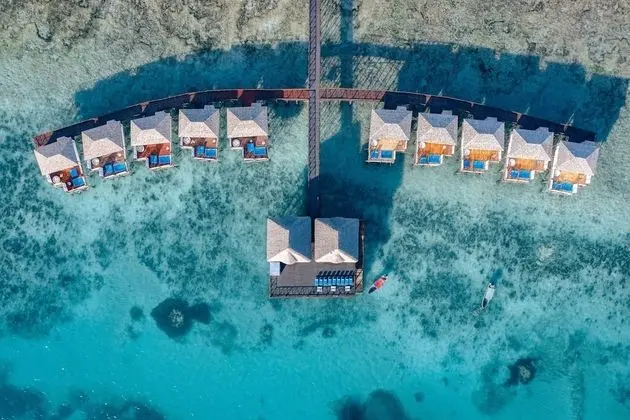 Le Mersenne Zanzibar, Autograph Collection