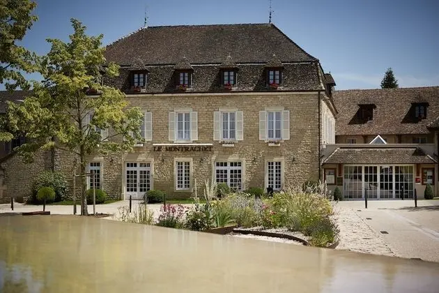 Le Montrachet - 1