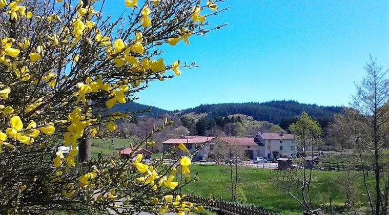 Le Moulin de la Fortie - 1