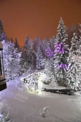 Le Moulin des Olirics - Dış Mekan