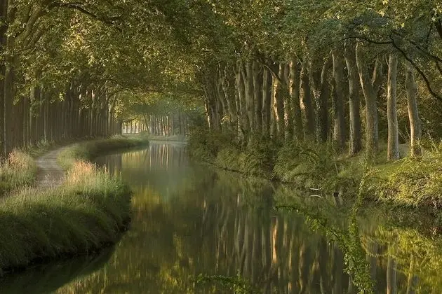 Le Moulin du Vivier - Dış Mekan