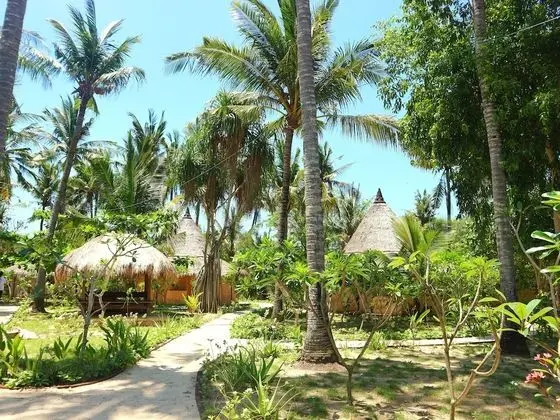 Le Nusa Beach Club - Dış Mekan
