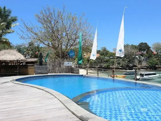Le Nusa Beach Club - Havuz