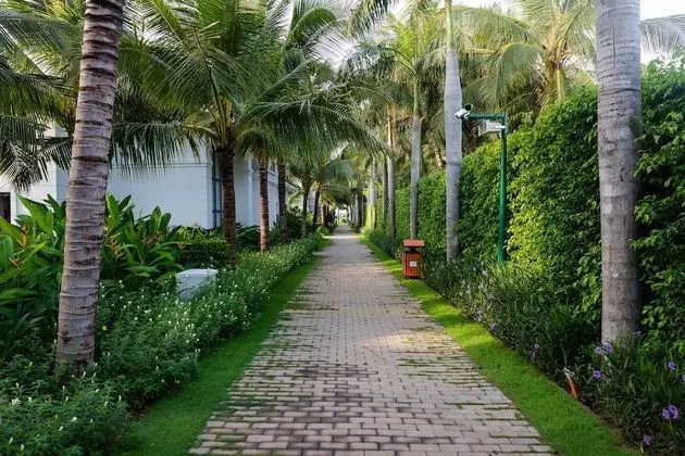 Le Palmier Ho Tram Resort - Dış Mekan