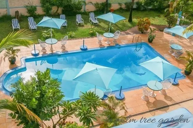 Le Palms Tree Garden Hôtel & Spa - Havuz