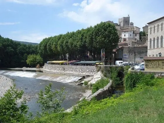 Le Parc aux Cèdres - Genel