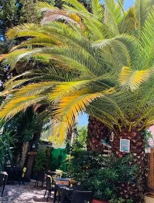 Hotel Le Petit Castel - Dış Mekan