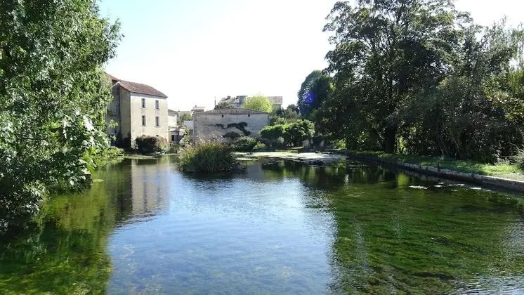 Le Petit Moulin de Veillard