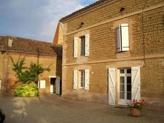 Le Platane