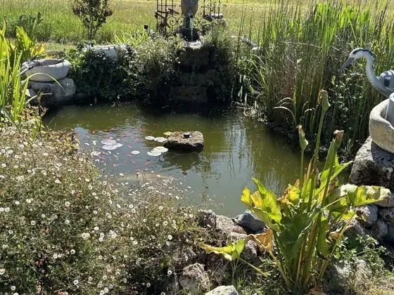 Le Relais de la Chouette - Dış Mekan
