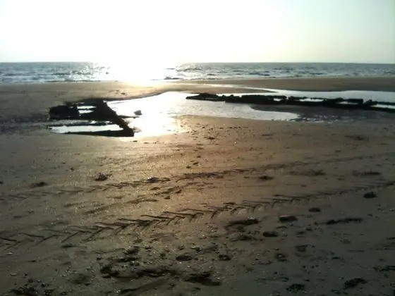 Le Relais de la Liberté - Utah Beach - Plaj