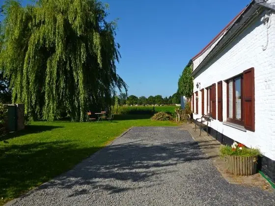 Le ruiclot - 1