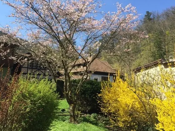 Le Saint Barnabe, Hotel & Spa - 1