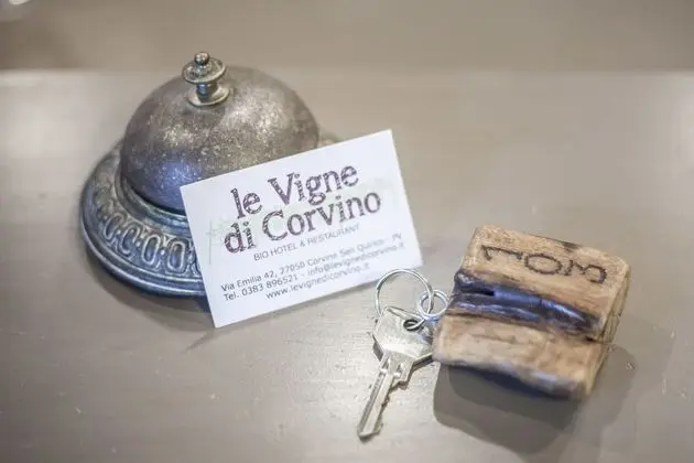 Le Vigne Di Corvino SRL - Lobi