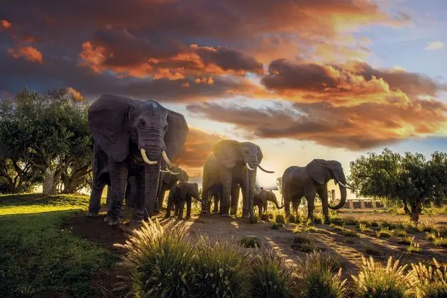 Le Vizir Center Park & Resort