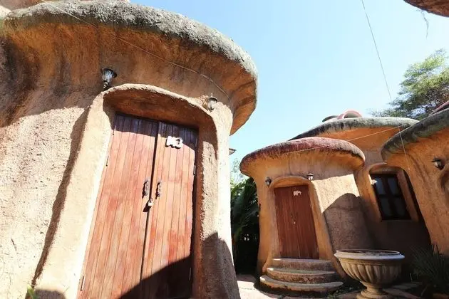 Leafy Greens Clay House