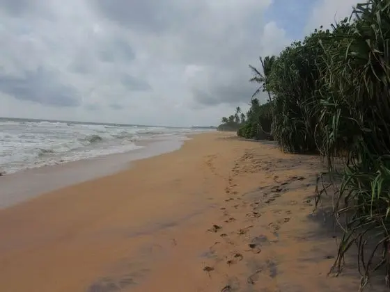 Leatherback Beach Villa - Plaj
