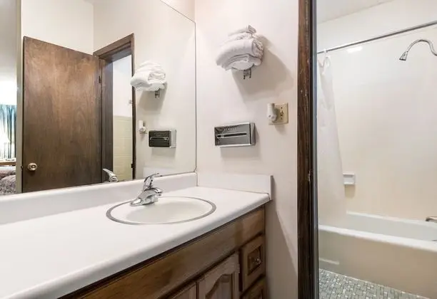 LeConte Motor Lodge A Ramada by Wyndham - Banyo Tipleri