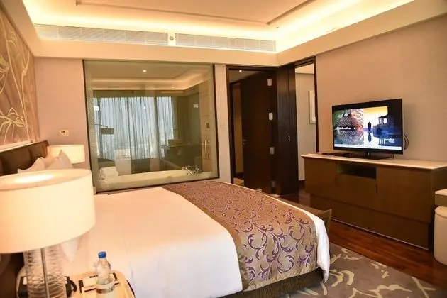 The Leela Ambience Convention Hotel Delhi - Oda