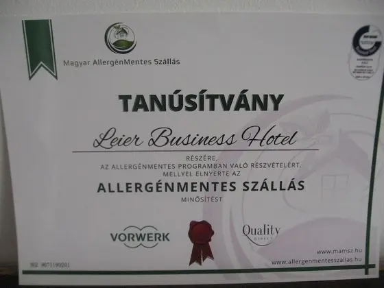 Leier Business Hotel - Havuz
