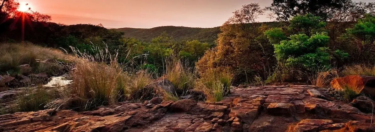 Lejwe La Metsi Game Farm Pty Ltd - Dış Mekan