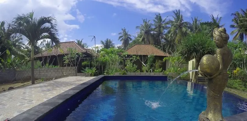 Lembongan Bagus Villa - Havuz