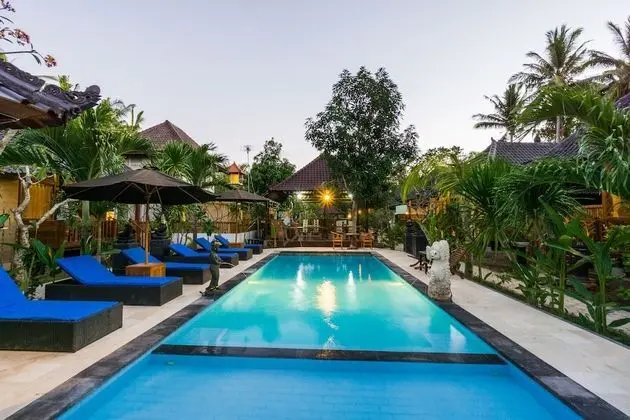 Lembongan D'Licks Villa - Havuz