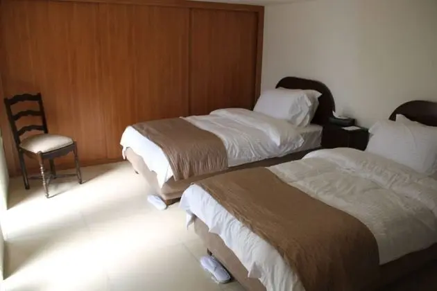 Lemir Faisal Arslan Stay at the Museum