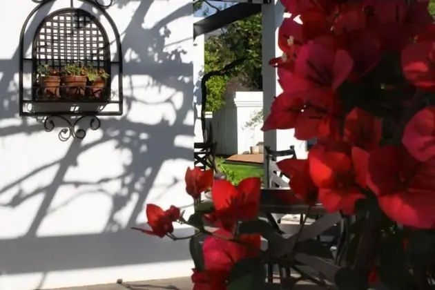 Lemon & Lime Guest House - Dış Mekan