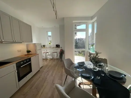 LEO APARTMENTS OLD TOWN - Mutfak