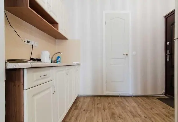 LeonRooms Pokrovskiy 8-4 - Mutfak