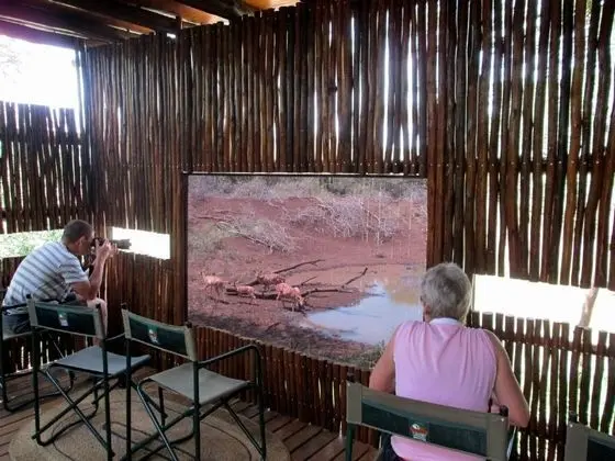 Leopard Mountain Safari Lodge