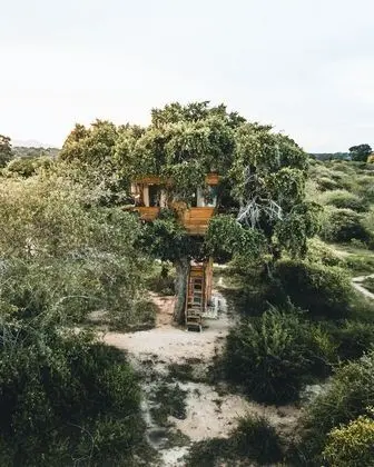 Leopard Nest - Glamping in Yala - Dış Mekan