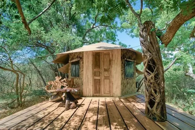 Leopard Safaris Yala by KK Collection