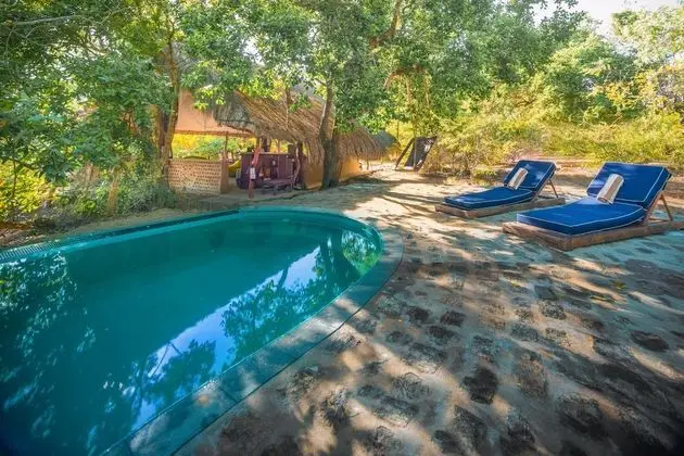 Leopard Safaris Yala by KK Collection - Havuz