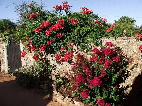 Les Belles Époques B&B - Dış Mekan