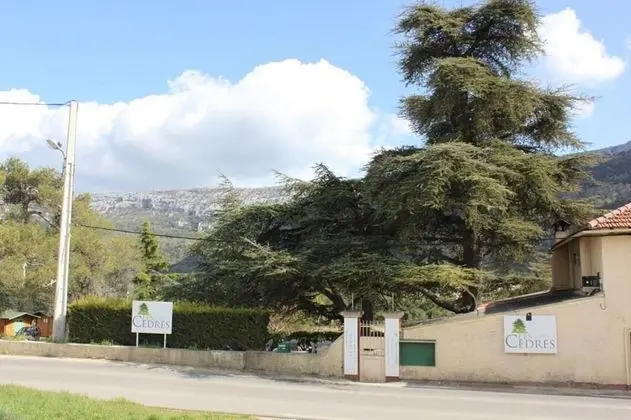 Les Cèdres