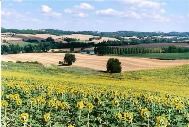 Les Celtes de Gascogne