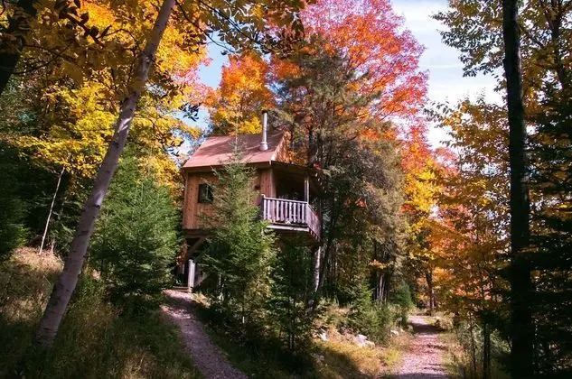 Les Chalets du Trappeur