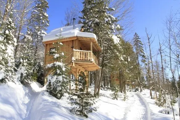 Les Chalets du Trappeur - Dış Mekan