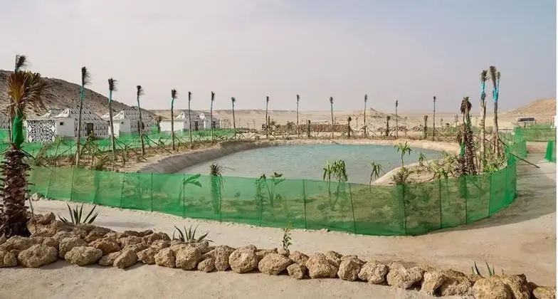 Les Dunes de Dakhla