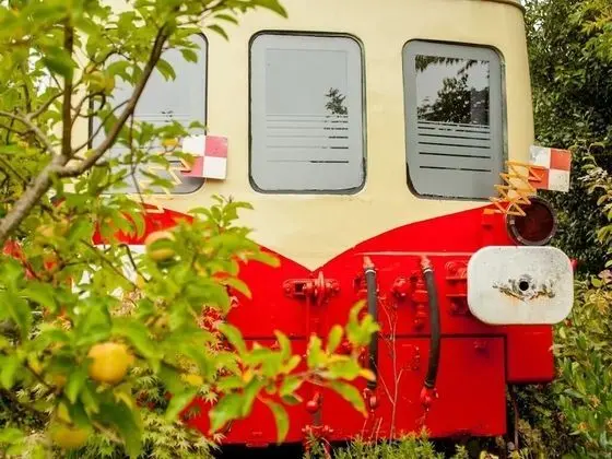 Les Gîtes du Picasso