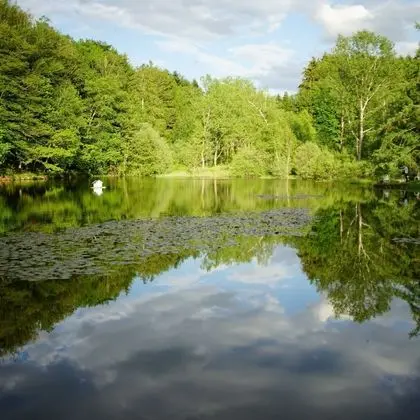 Les gîtes insolites de l'etang d'Anty