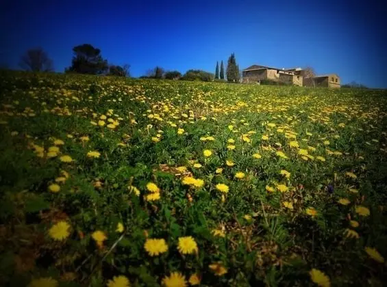 Les Grandes Mollières