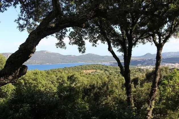 Les Hauts De Porto Vecchio