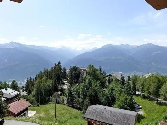 Les Pins Crans-montana