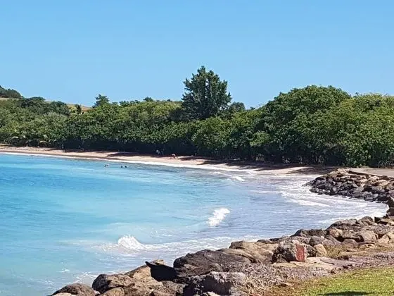 Les studios de la baie - Plaj