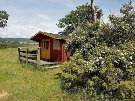 LES TRUFFIERS Cabane