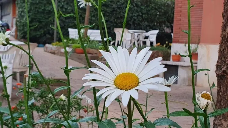 VILLA LETIZIA - CASA PER FERIE